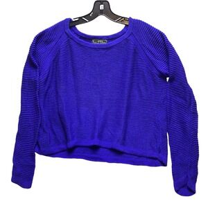 Lauren Ralph‎ Lauren Sweater Womens Extra Large Periwinkle Academia Pullover